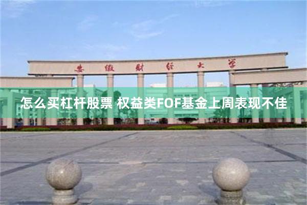 怎么买杠杆股票 权益类FOF基金上周表现不佳