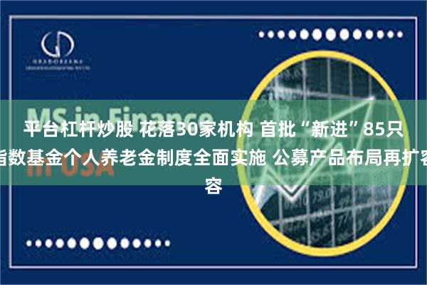 平台杠杆炒股 花落30家机构 首批“新进”85只指数基金个人养老金制度全面实施 公募产品布局再扩容