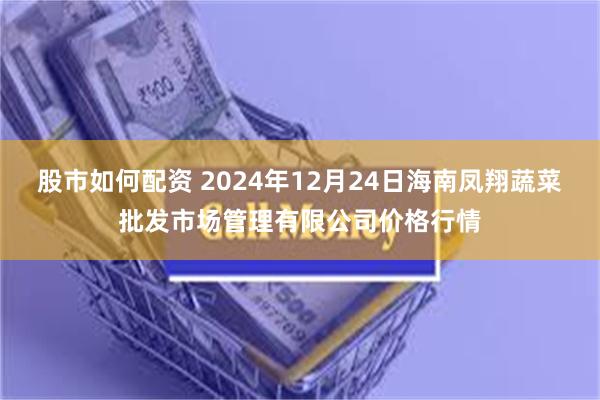 股市如何配资 2024年12月24日海南凤翔蔬菜批发市场管理有限公司价格行情