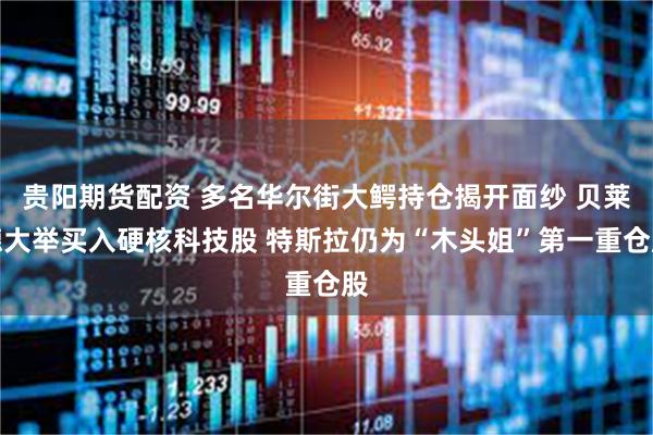 贵阳期货配资 多名华尔街大鳄持仓揭开面纱 贝莱德大举买入硬核科技股 特斯拉仍为“木头姐”第一重仓股