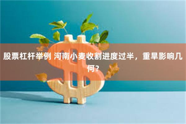 股票杠杆举例 河南小麦收割进度过半，重旱影响几何？