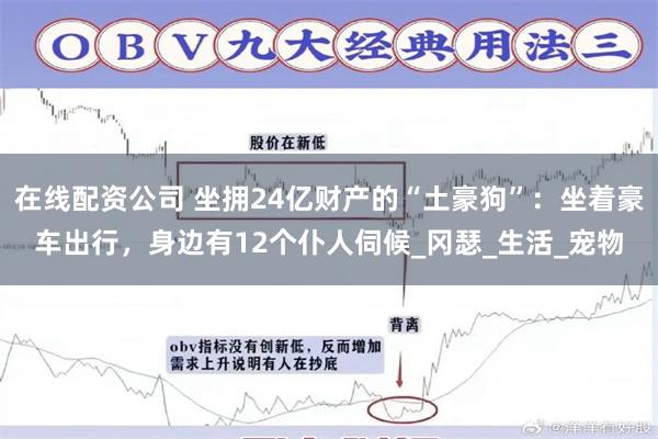 在线配资公司 坐拥24亿财产的“土豪狗”：坐着豪车出行，身边有12个仆人伺候_冈瑟_生活_宠物