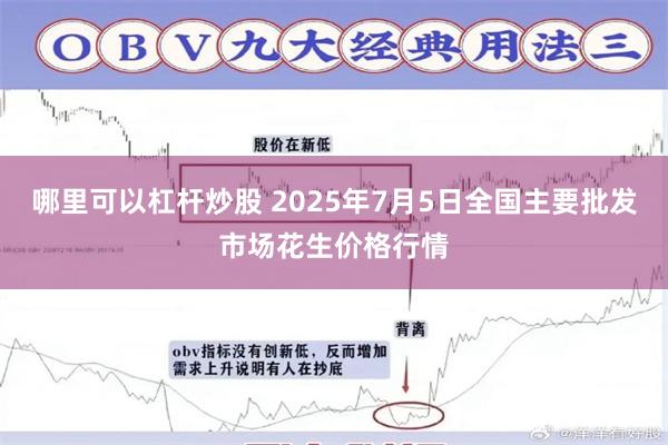 哪里可以杠杆炒股 2025年7月5日全国主要批发市场花生价格行情