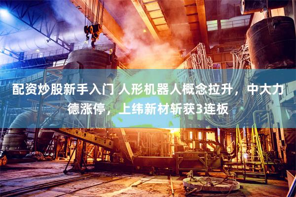 配资炒股新手入门 人形机器人概念拉升,中大力德涨停,上纬新材斩获3连板