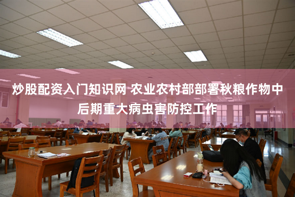 炒股配资入门知识网 农业农村部部署秋粮作物中后期重大病虫害防控工作
